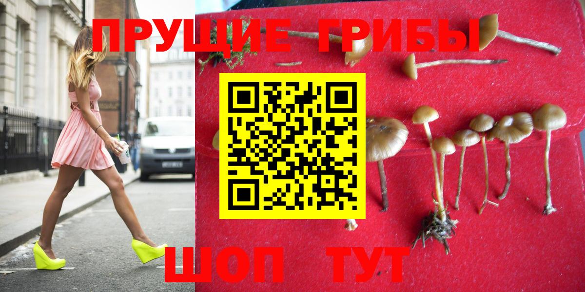 Саратов  Галлюциногенные грибы MAGIC MUSHROOMS  Вход с VPN 